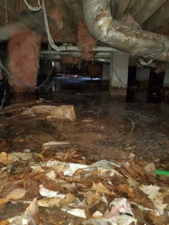 Crawl space flood assessment for Leak Detection & Repair in Laurel