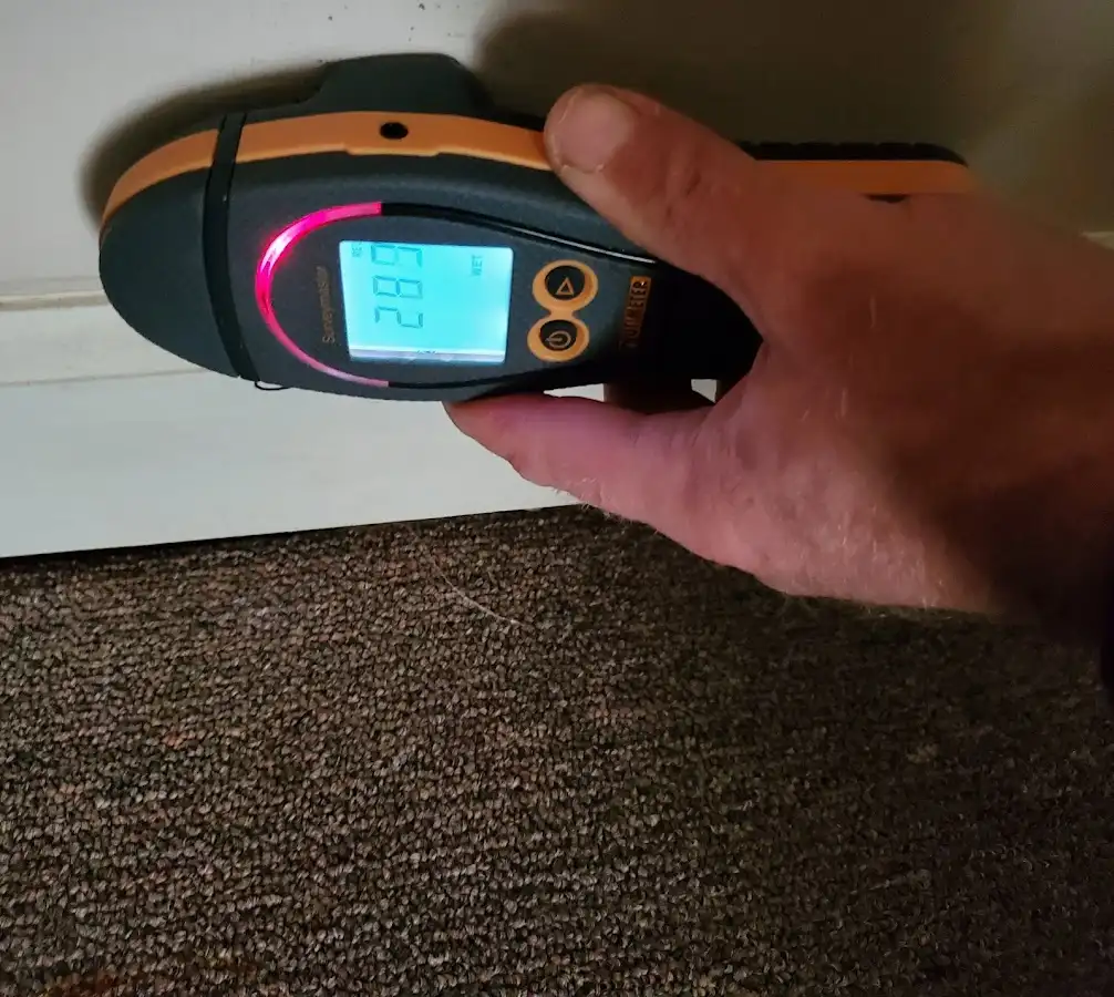 Moisture detection at baseboard during Sewage Cleanup & Sanitation in Laurel